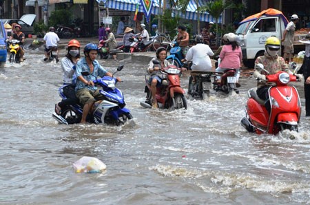 TP Hồ Chí Minh Cần có các giải pháp đồng bộ để giảm ngập úng